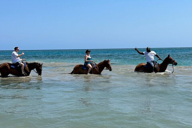 Private Horseback Riding And Ricks Cafe Tour. - Detailed Review of the Tour Experience  