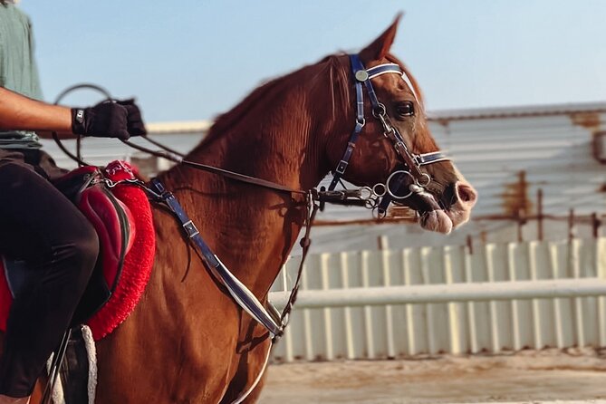 Private Horseback Riding Experience in Doha - Health Considerations and Fitness Level