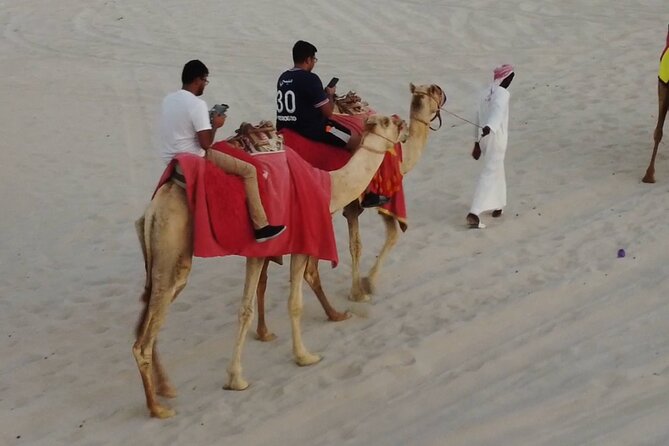Private Horseback Riding Experience in Doha - Traveler Photos and Reviews