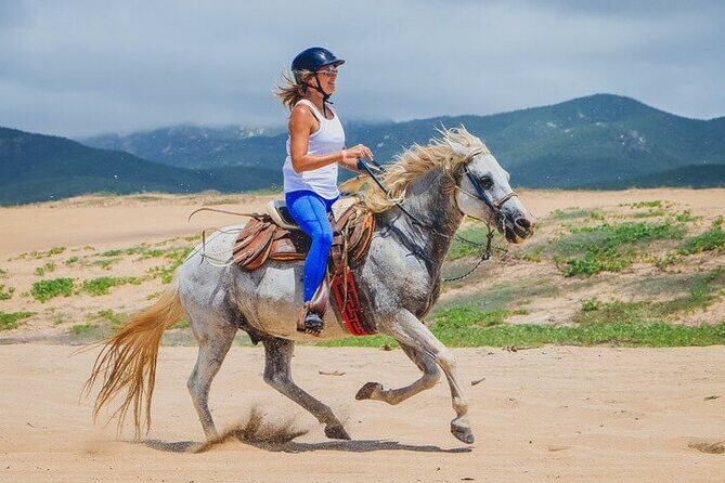 Private Horseback Riding in Cabo San Lucas - An Authentic 2-Hour Beach Horseback Riding Adventure