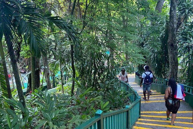 Private Horseback Riding, Swimming and Dunn's River Falls Tour - An In-Depth Look at the Tour