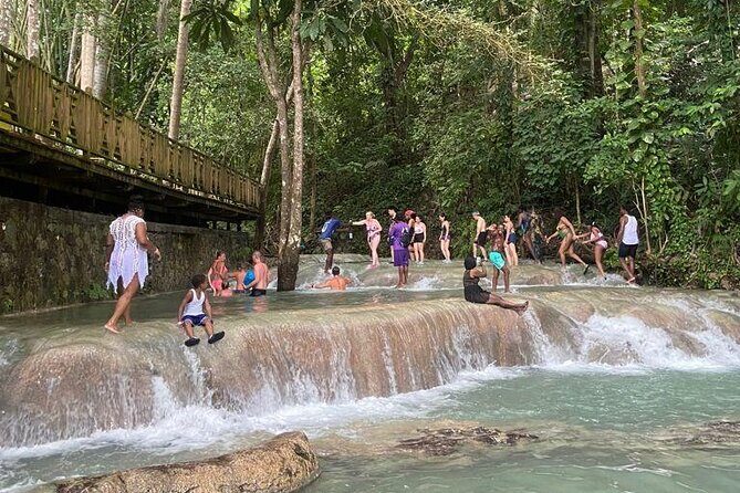 Private Horseback Riding, Swimming and Dunn's River Falls Tour - Who Will Love This Tour?