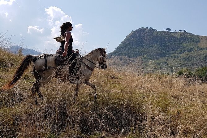 Private Horseback Riding Tour Around Cattle Ranch From Medellin - Inclusions and Amenities