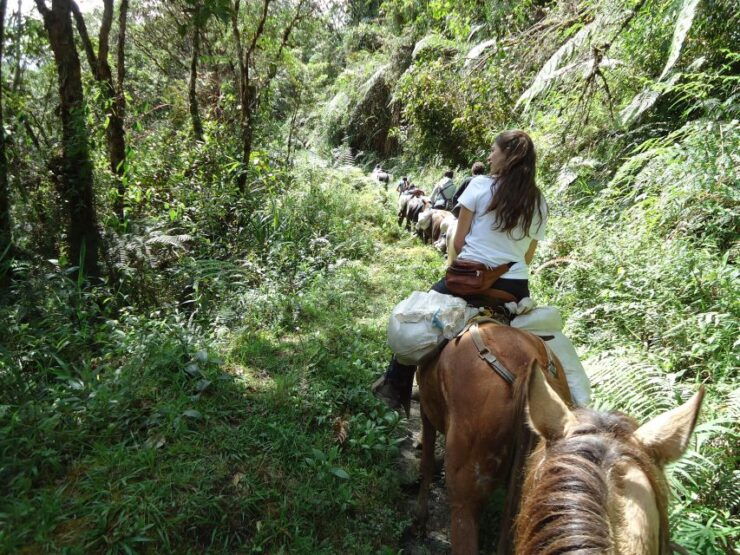 Private Horseback Riding Tour to Tres Chorros Waterfall - Good To Know