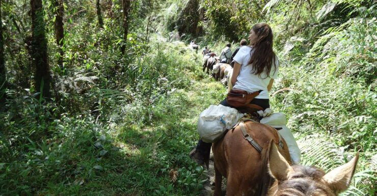 Private Horseback Riding Tour to Tres Chorros Waterfall - Discover Serene Horseback Riding Tour