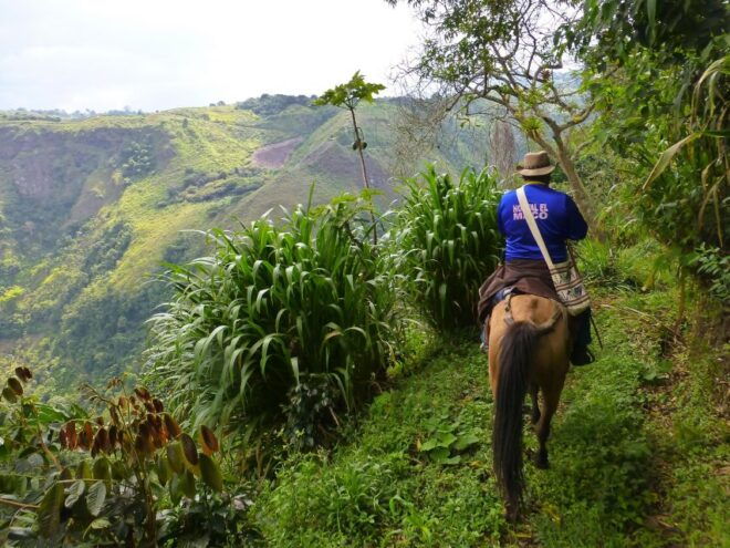 Private Horseback Riding Tour to Tres Chorros Waterfall - Enjoy a Relaxing Swim in Nature
