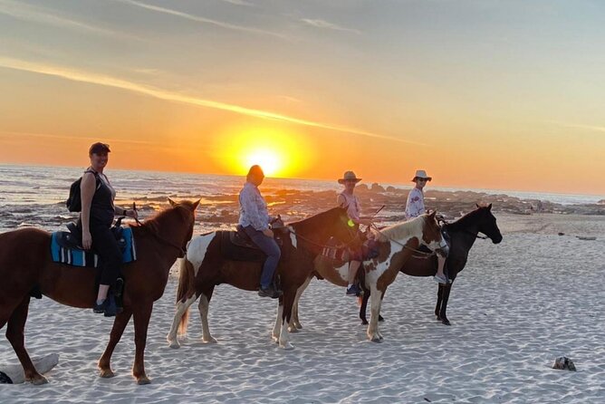 Private Horseback Riding Tour to Watch the Sunset in Nosara - Cancellation Policy