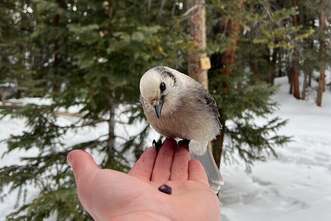 Private Hot Chocolate Hike in the Rockies - A Closer Look at the Hot Chocolate Hike Experience