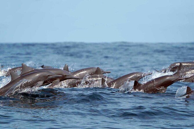 Private Huatulco Ocean, Bays & Coral Reef Snorkeling Adventures - Good To Know