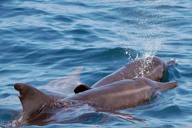 Private Huatulco Ocean, Bays & Coral Reef Snorkeling Adventures - Final Thoughts