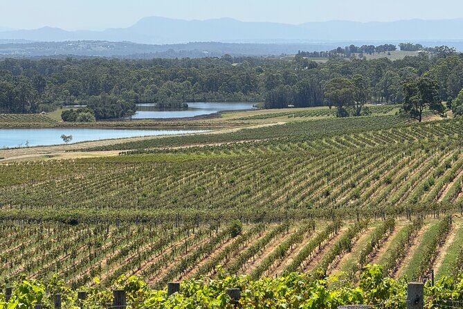 Private Hunter Valley Wine Tasting Tour from Sydney - The Practical Side: Pricing, Duration, & What You’re Paying For