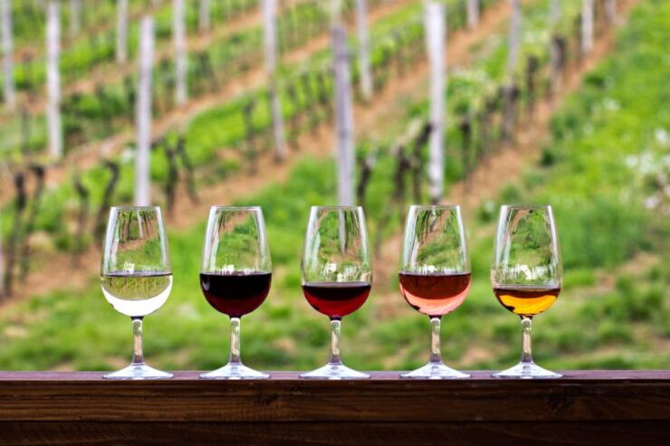 Private Hunter Valley Wine Tour Departing From Newcastle - Experience Highlights