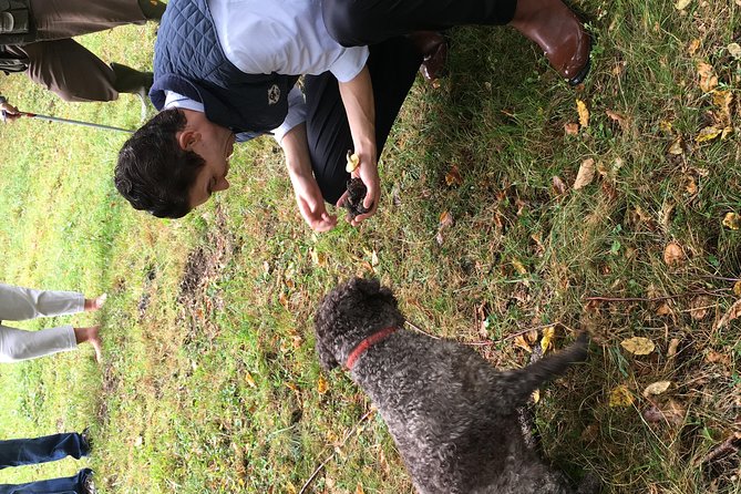 Private Hunting Of Truffle And Mushrooms With Chef Luigi Gandola In Bellagio - Trip Details