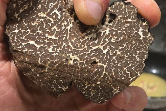 Private Hunting Of Truffle And Mushrooms With Chef Luigi Gandola In Bellagio - Booking Information