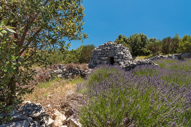 Private Hvar Island Tour and Olive Oil Tasting - Additional Information