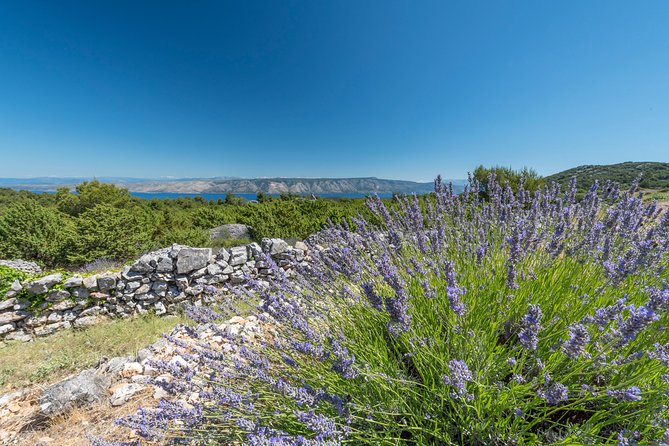 Private Hvar Wine Tasting Tour - Customer Testimonials