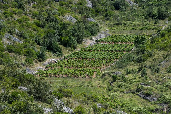 Private Hvar Wine Tasting Tour - Booking Information
