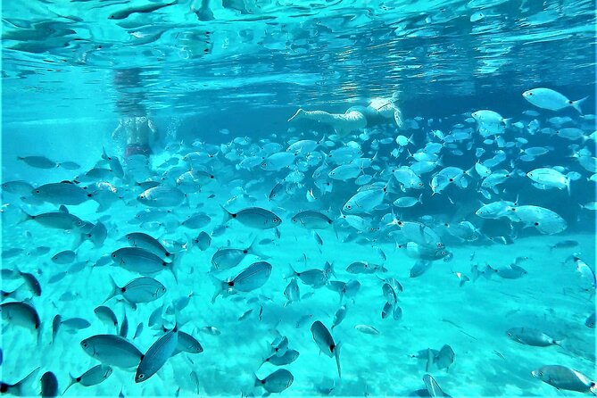 Private Hydro-Jet Snorkeling Beach and Cave Cruise Tour - Cancellation Policy