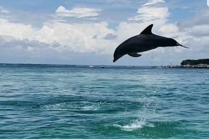 Private Hydrojet Tour in Destin - Common Questions