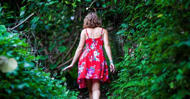 Private Iao Valley/Upcountry VIP Farm Tour- Full Day - Experience Highlights