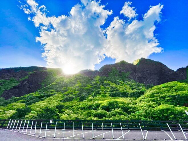 Private Iao Valley/Upcountry VIP Farm Tour- Full Day - Pickup and Transportation