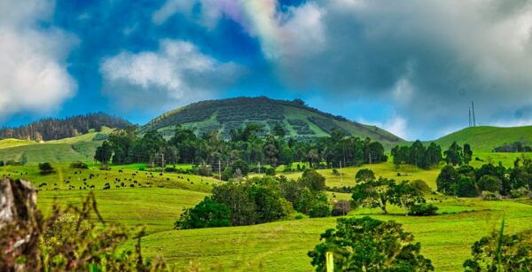 Private Iao Valley/Upcountry VIP Farm Tour- Full Day - The Sum Up