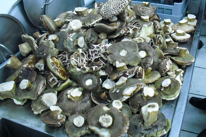 Private Iberian Ham Tour to the Sierra De Aracena - Common Questions