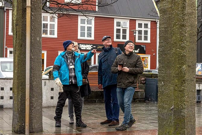 Private Icelandic Viking Age Walking Tour - Inclusions