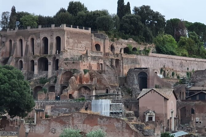 Private Immersive Colosseum Tour - Customer Reviews