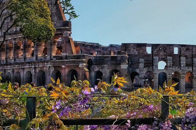 Private Immersive Colosseum Tour - Pricing and Availability