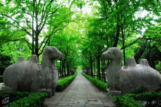 Private In-Depth Day Tour of Nanjing Purple Mountain With Lunch - Pickup Details