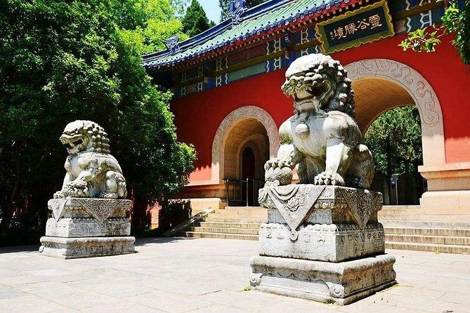 Private In-Depth Day Tour of Nanjing Purple Mountain With Lunch - Traveler Requirements