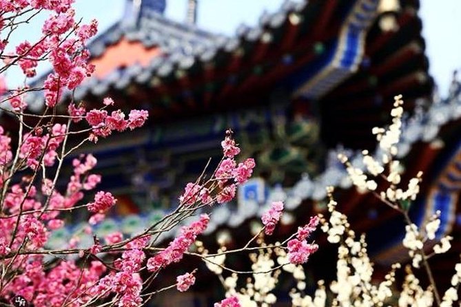 Private In-Depth Day Tour of Nanjing Purple Mountain With Lunch - Cancellation Policy