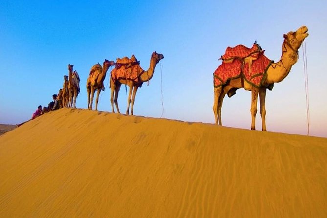 Private Indian Cultural & Heritage Tour - Good To Know