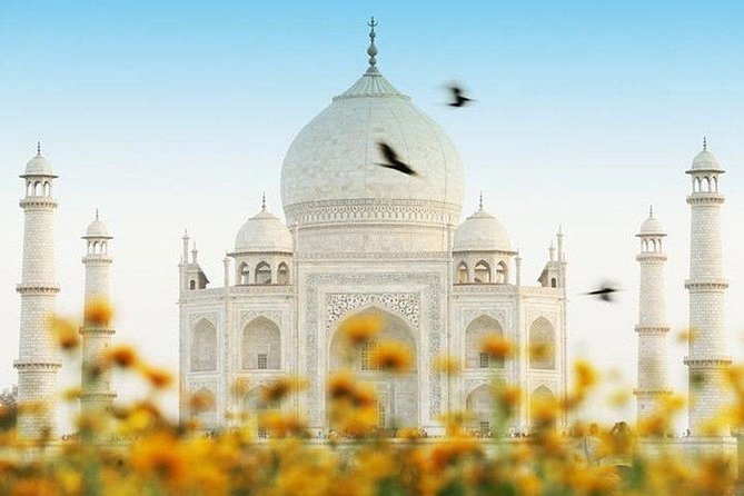 Private Indian Traditional Tour of Taj Mahal - Reviews