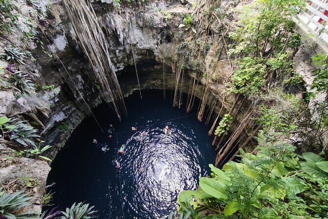 Private Instagram Cenotes Tour with Professional Photography - Pricing and Value