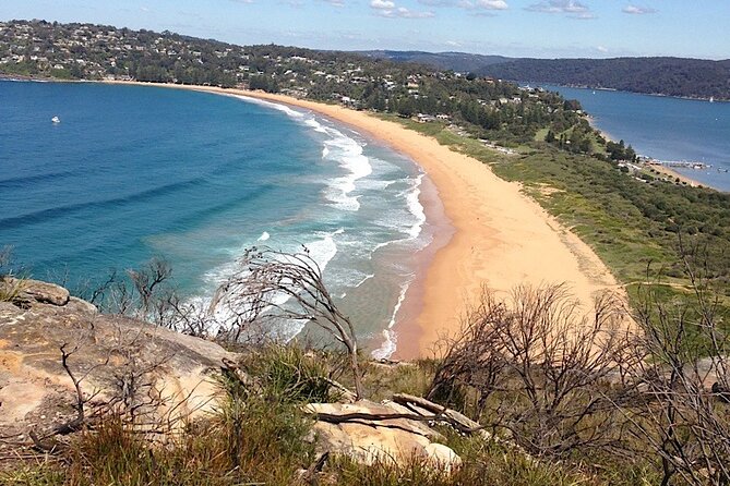 Private Insular Peninsula Tour in Kombi Hippie Van - Local Cuisine and Dining Options