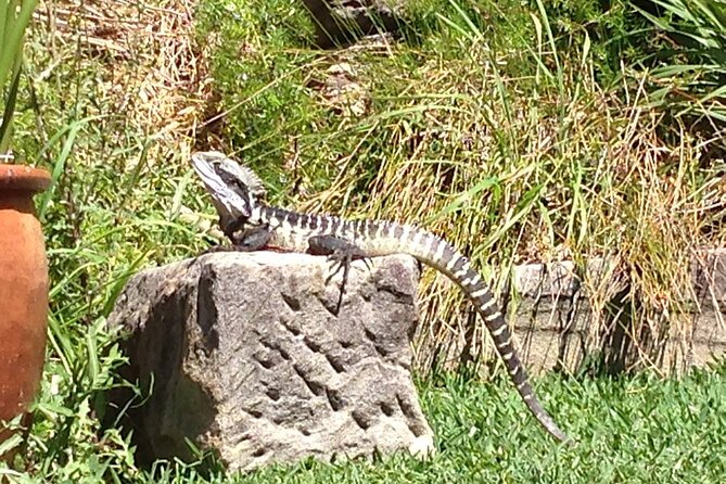 Private Insular Peninsula Tour in Kombi Hippie Van - Booking and Pricing Information