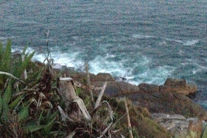 Private Insular Peninsula Tour in Kombi Hippie Van - Common Questions