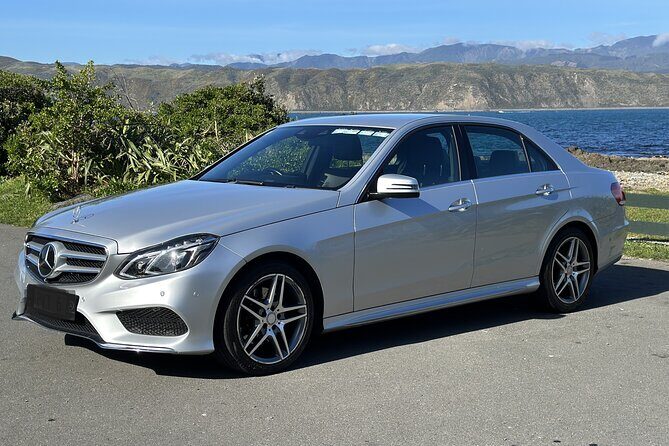 Private Intercity Transfer from Rotorua to Wellington - Who Is This Transfer Best For?