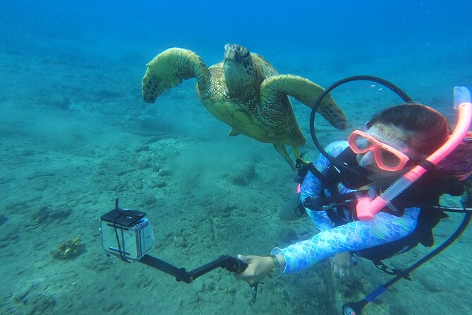 Private Intro SCUBA Adventure - Private Intro SCUBA Course