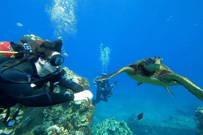 Private Intro SCUBA Adventure - Open Water Dive in the Pacific