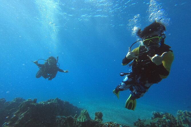 Private Intro SCUBA Adventure - Spotting Turtles and Tropical Fish
