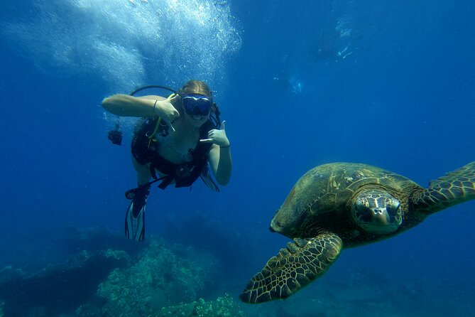 Private Intro SCUBA Adventure - Whats Included in the Package