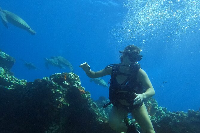 Private Intro SCUBA Adventure - Traveler Reviews and Ratings