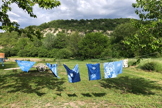 Private Introduction to Plant Color in Forcalquier in Provence - Common Questions