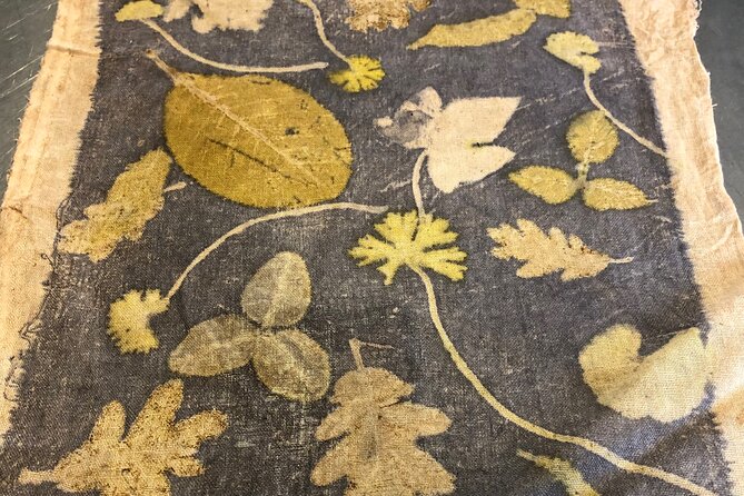 Private Introduction to Plant Color in Forcalquier in Provence - The Sum Up