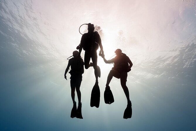 PRIVATE Introductory Discover Scuba Diving For Beginners - What Reviewers Say