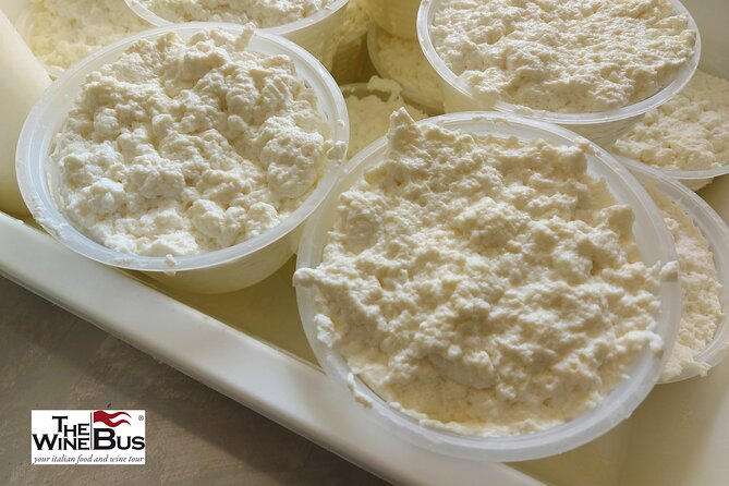 Private Irpinia Gourmet Tour From SORRENTO With Sommelier - Tour Highlights