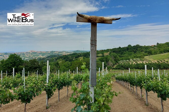 Private Irpinia Wine Tour From NAPLES With Sommelier - Common Questions